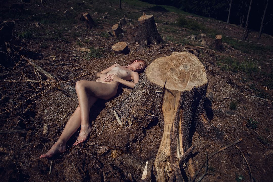Deforestation: künstlerischer Akt mit Umweltbezug, tschechische Modelin Katy in der Slowakei, 2018.